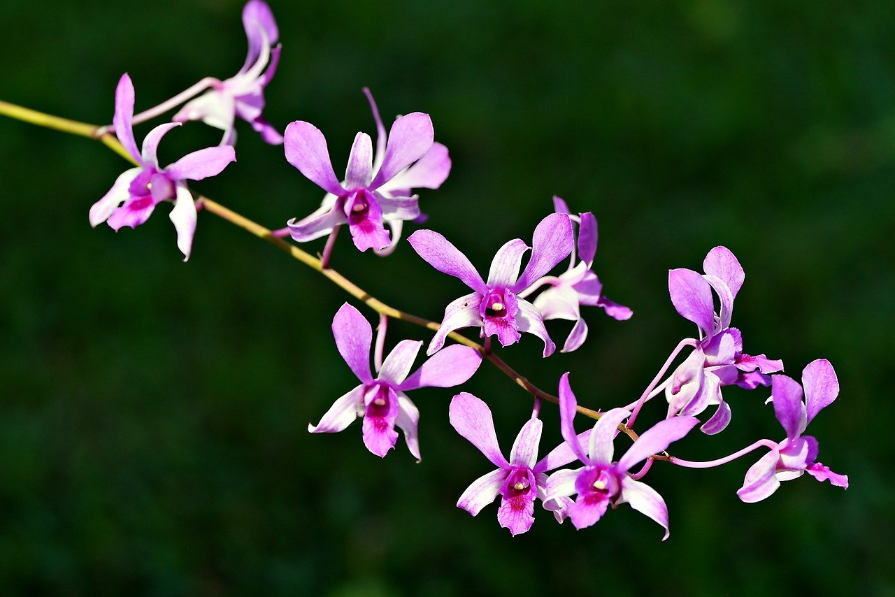 Sobota, 8 lipca