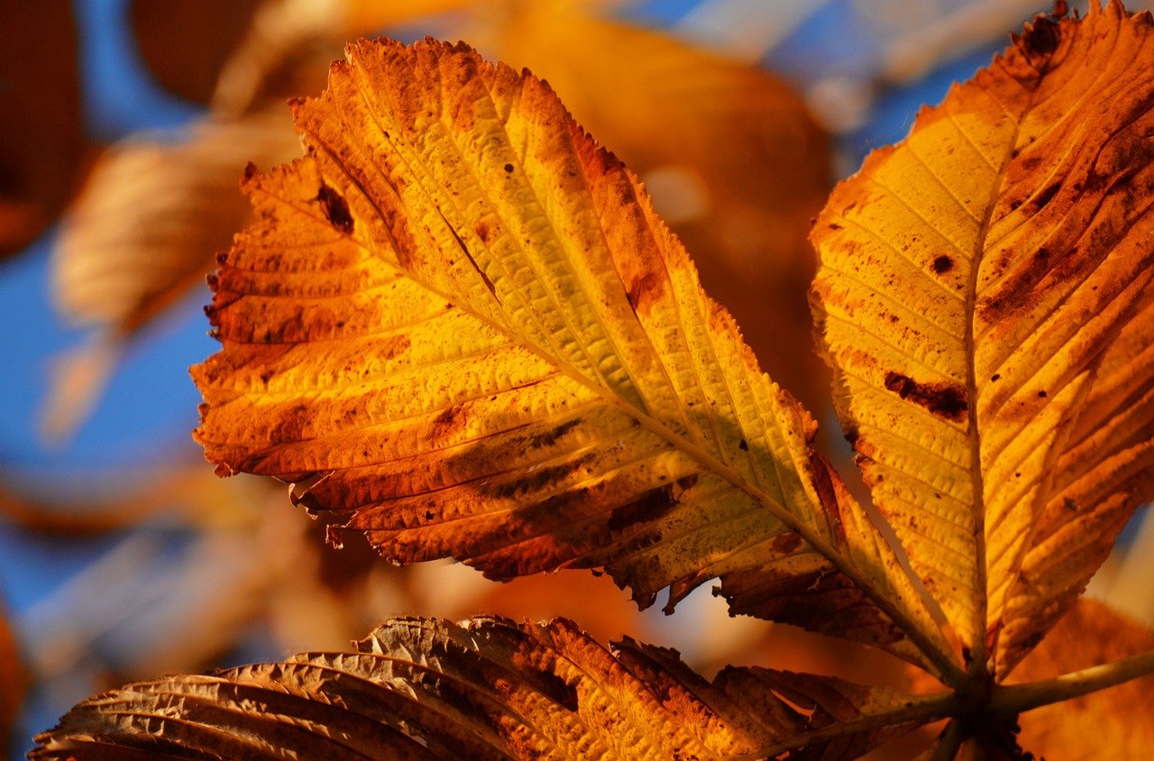 Piątek, 24 listopada
