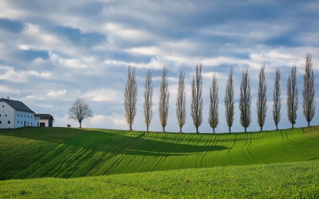 Piątek, 16 lutego