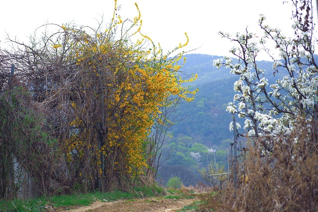 Sobota, 16 marca