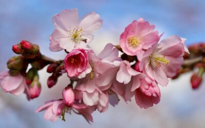 Sunday 14 April
