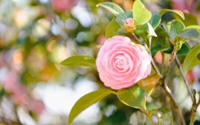 Tuesday 16 April