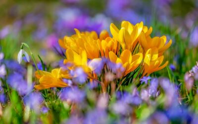 Wednesday 10 April