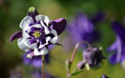 Tuesday 28 May