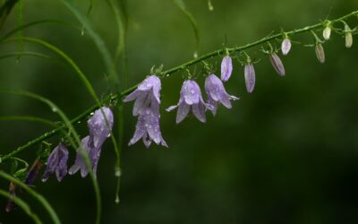Monday 3 June