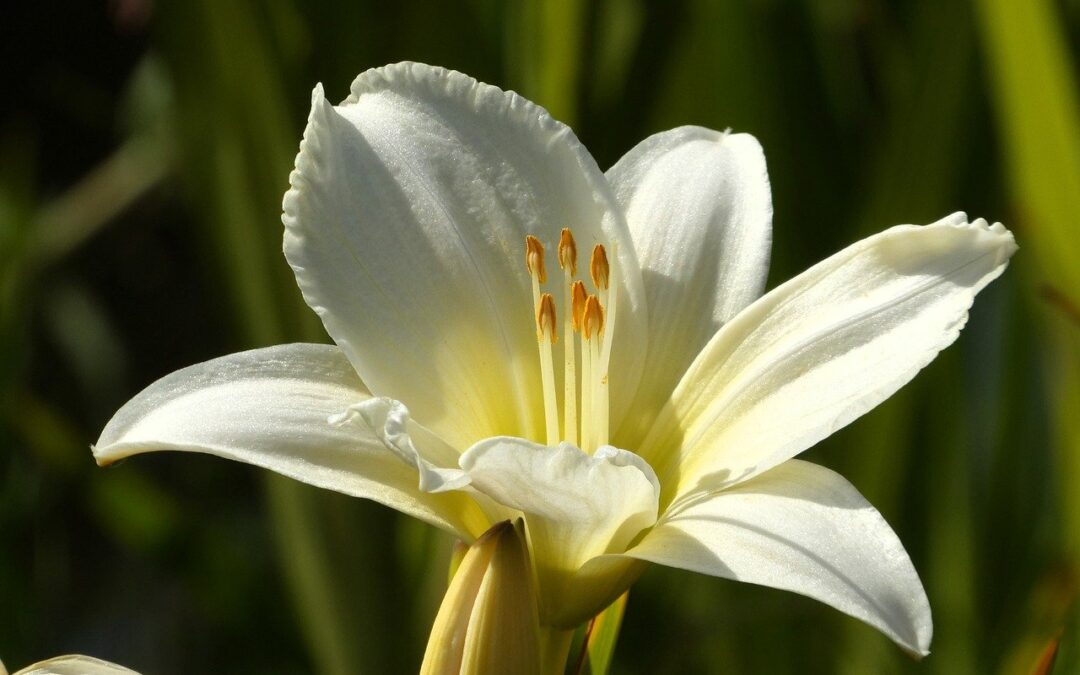 Piątek, 4 października
