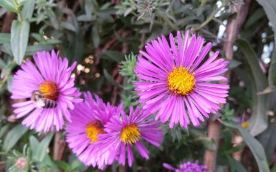 Tuesday 5 November