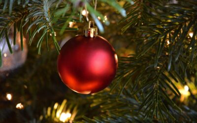 Wednesday 25 December