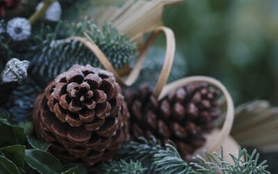 Tuesday 24 December