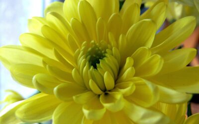 Saturday 8 Februar