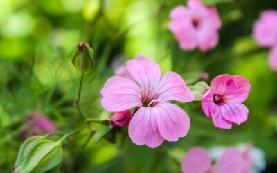 Wednesday 9 April