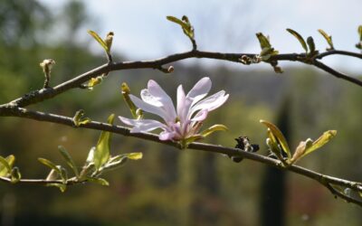 Tuesday 22 April