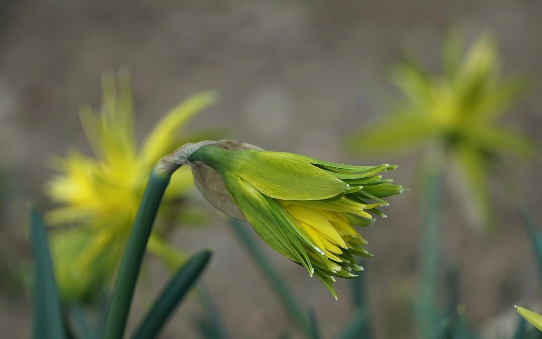 Tuesday 17 March