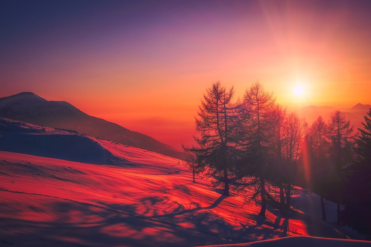 Donnerstag, 25. Januar