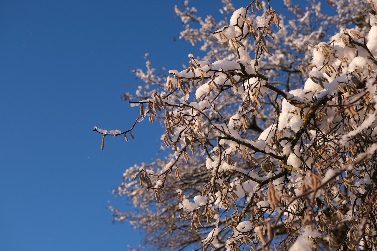 Mittwoch, 31. Januar