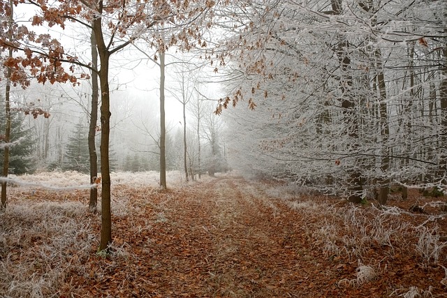 Poniedziałek, 5 lutego