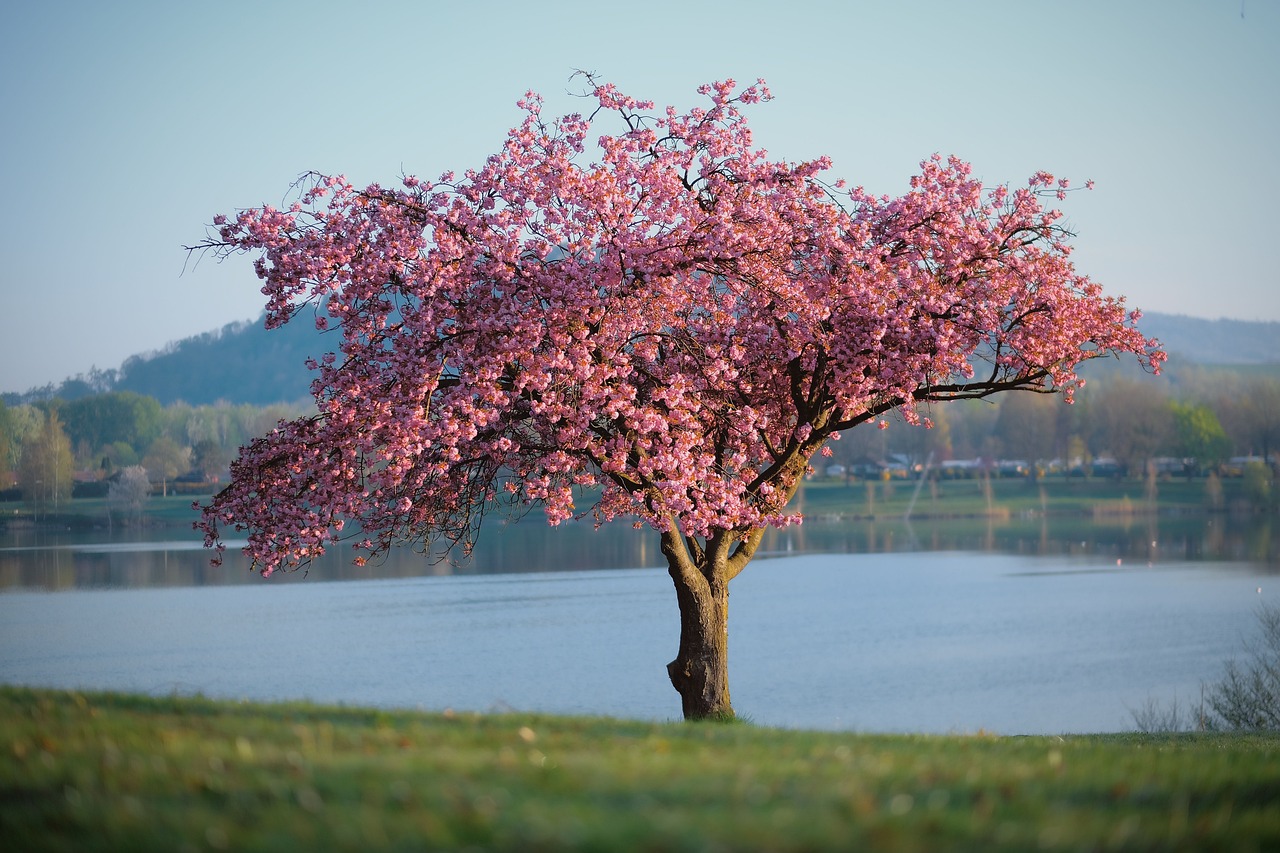 Mittwoch, 17. April