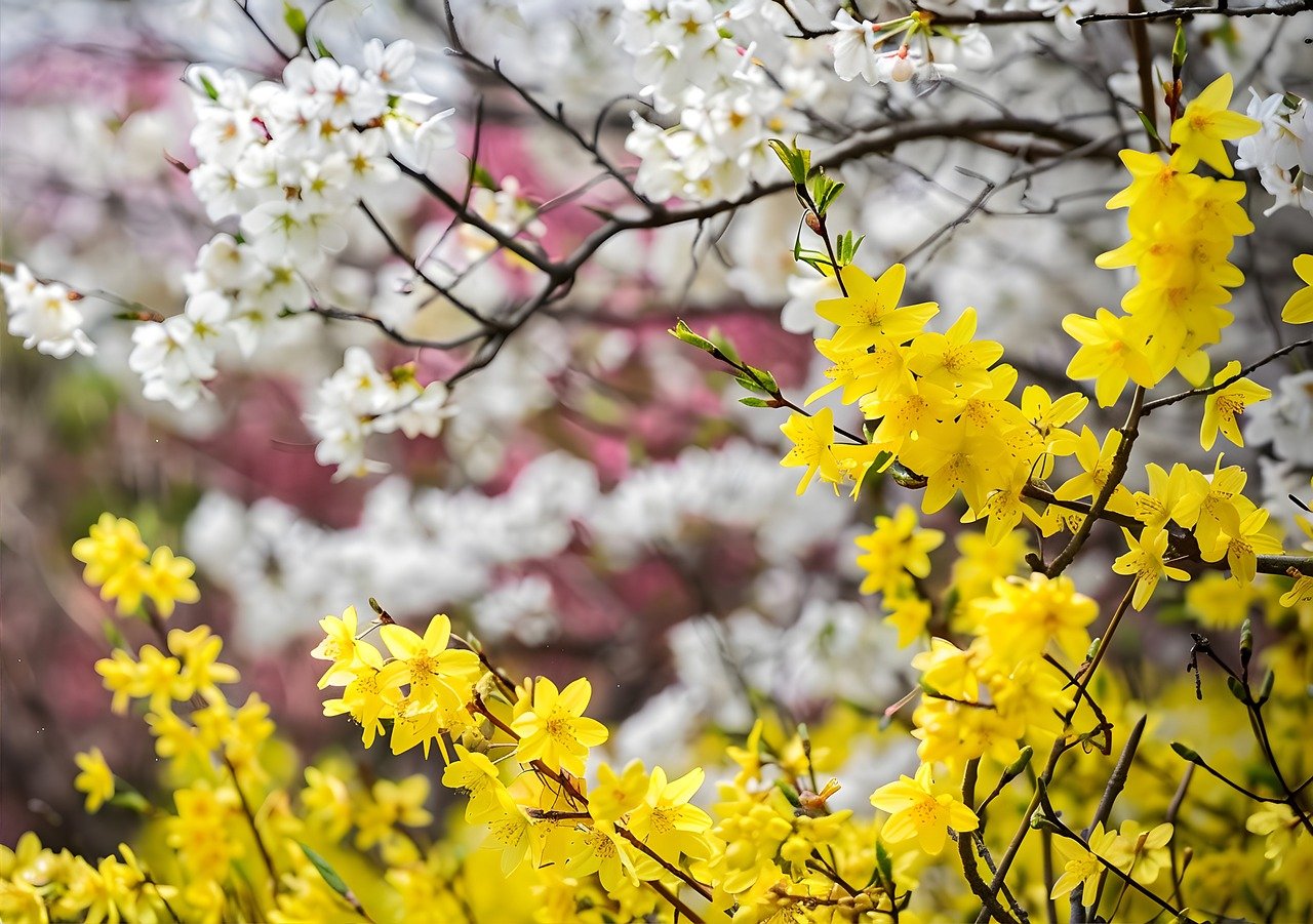 Dienstag, 2. April