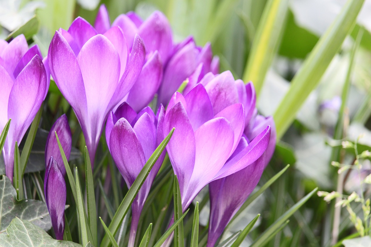 Donnerstag, 4. April