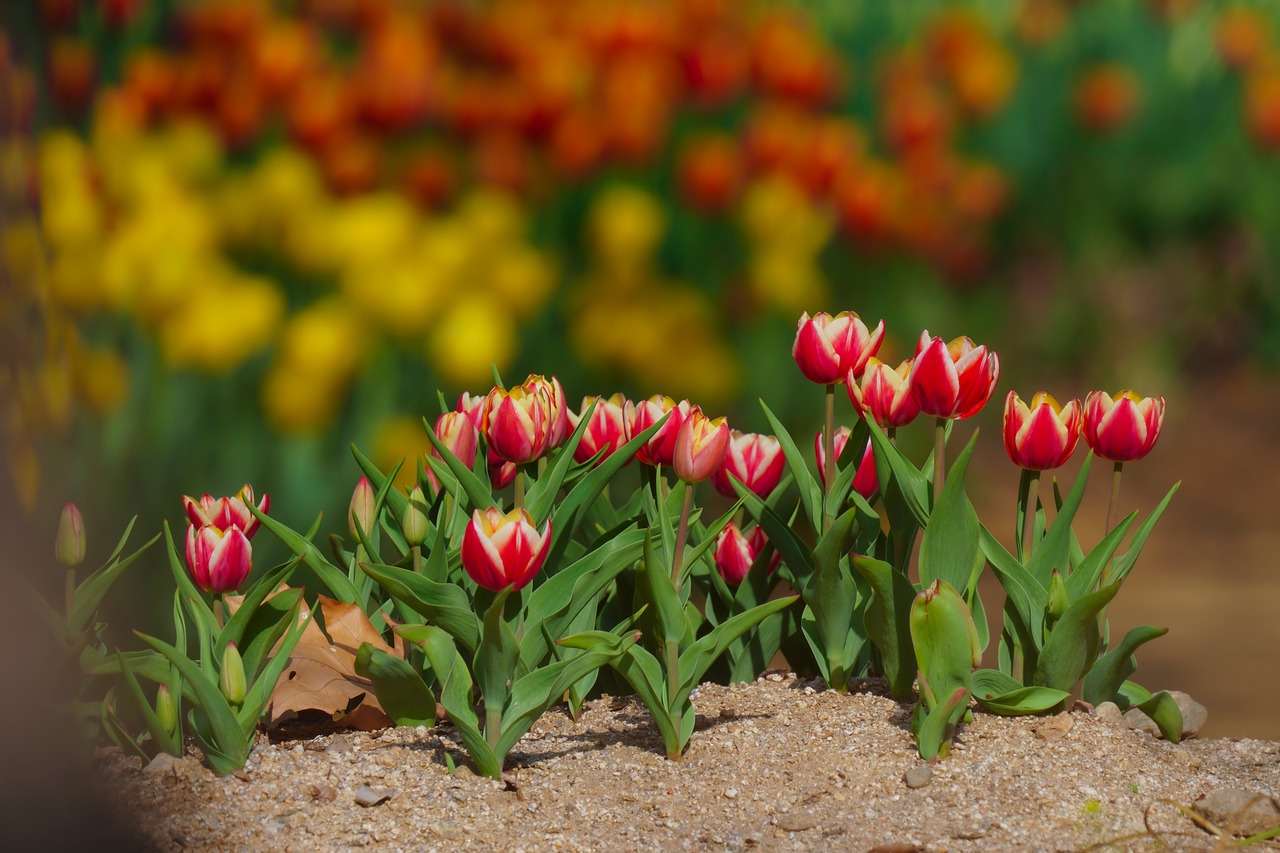 Dienstag, 9. April