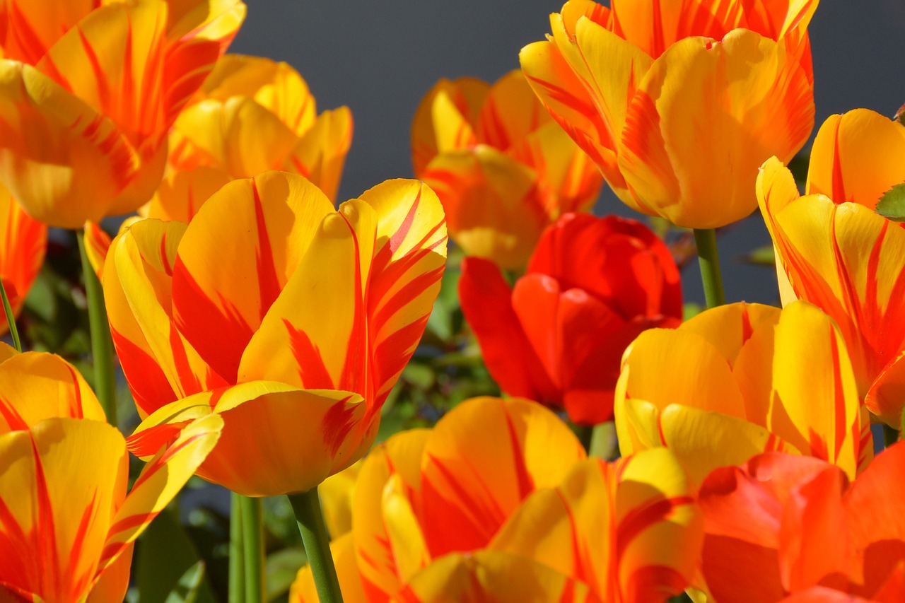 Donnerstag, 9. Mai