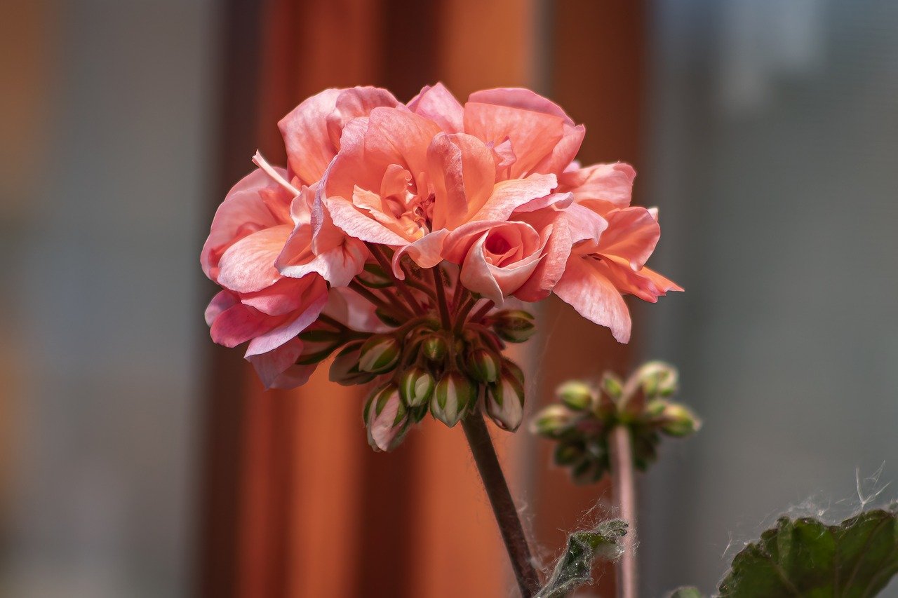 Mittwoch, 4. September