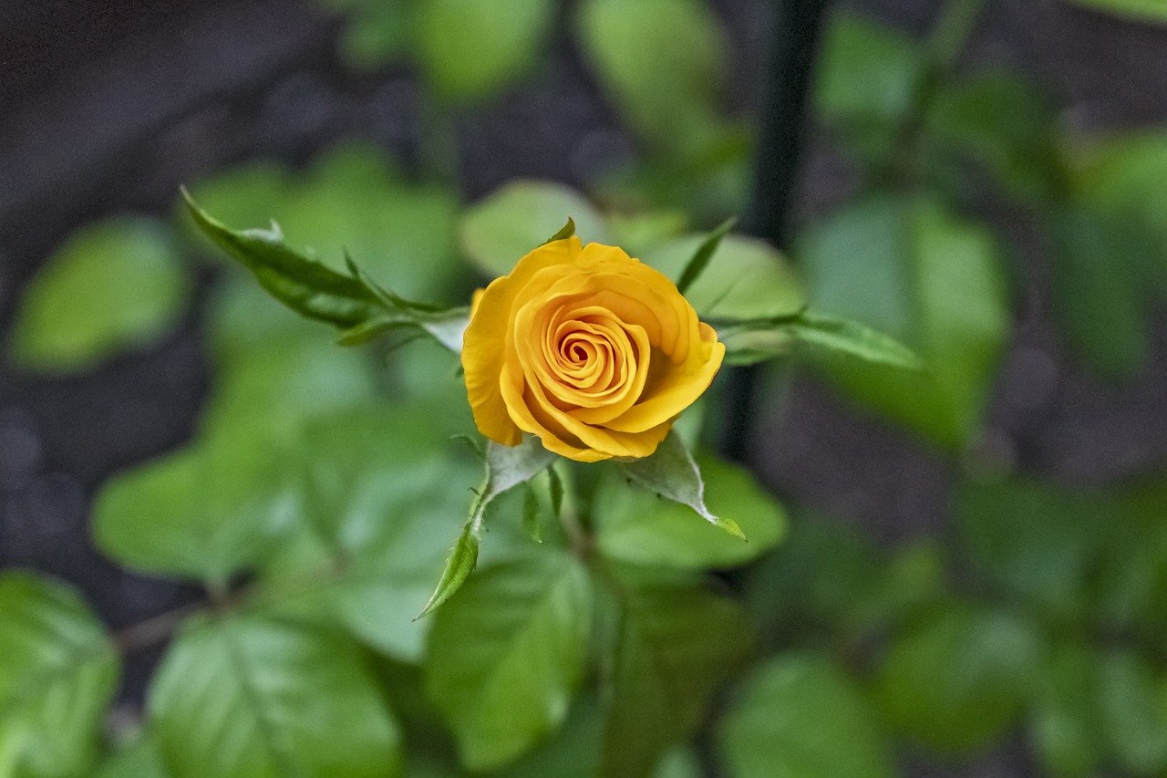 Montag, 22. Juli
