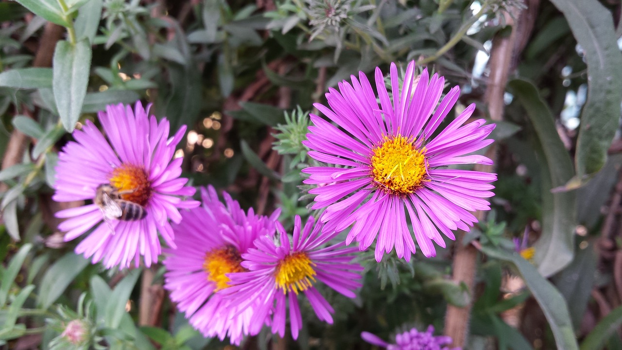 Dienstag, 5. November