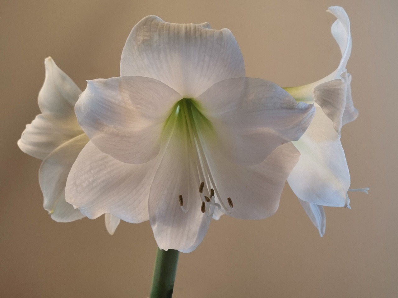 Sonntag, 5. Januar