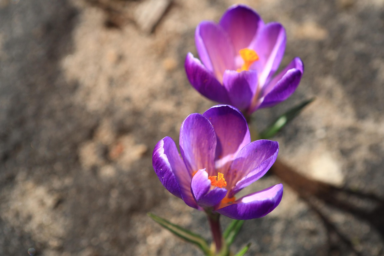 Sonntag, 9. Februar
