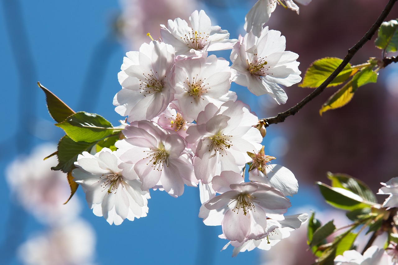 Donnerstag, 3. April