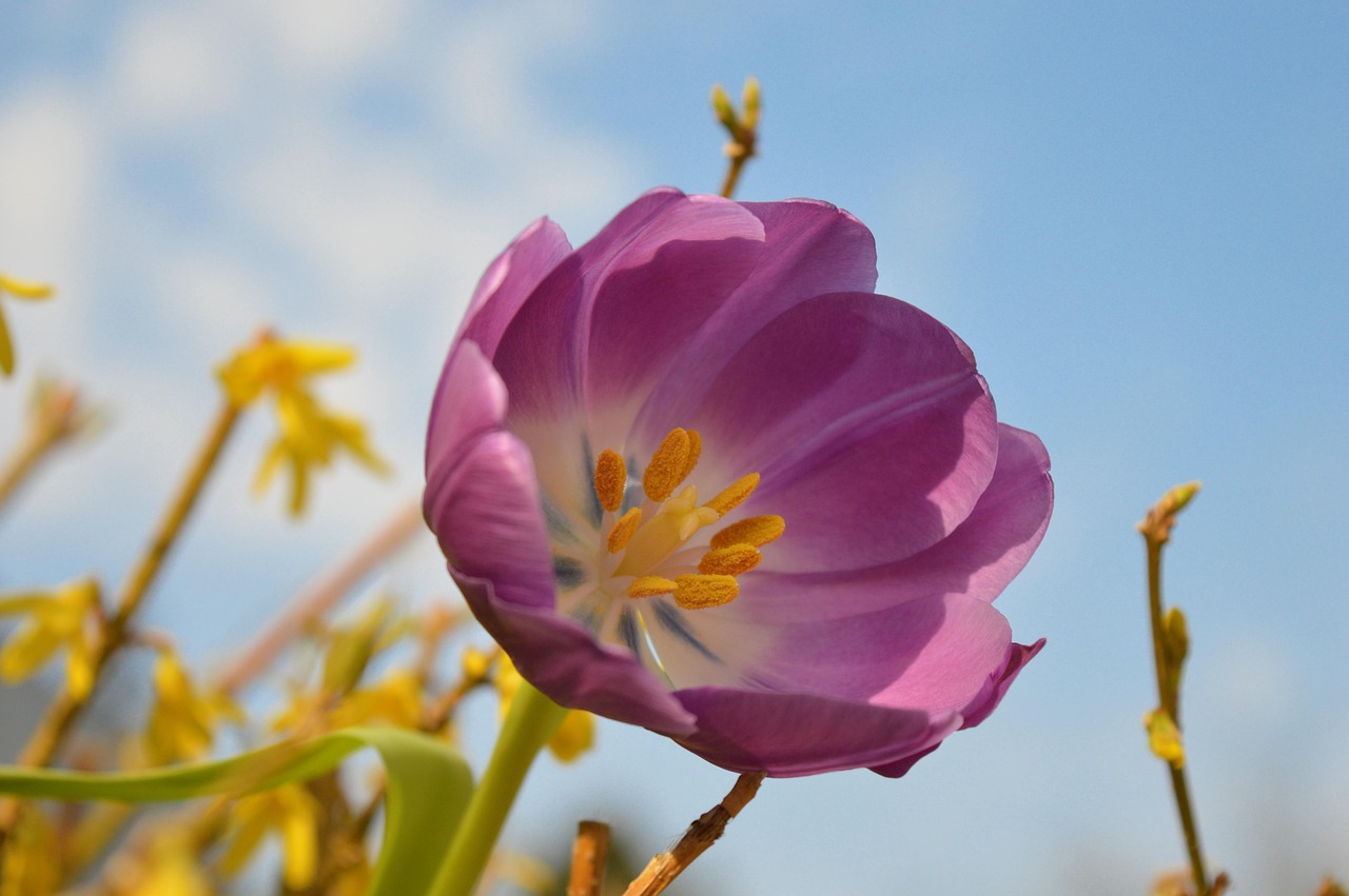 Freitag, 11. April