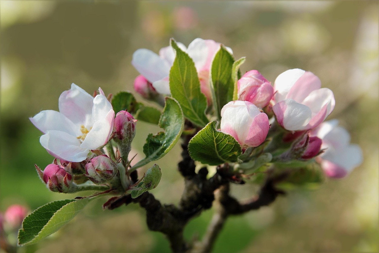 Sonntag, 27. April
