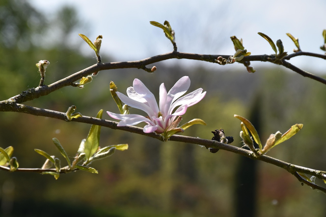 Dienstag, 22. April