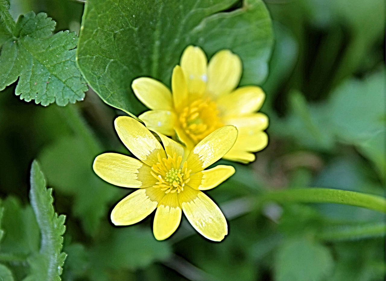 Montag, 14. April