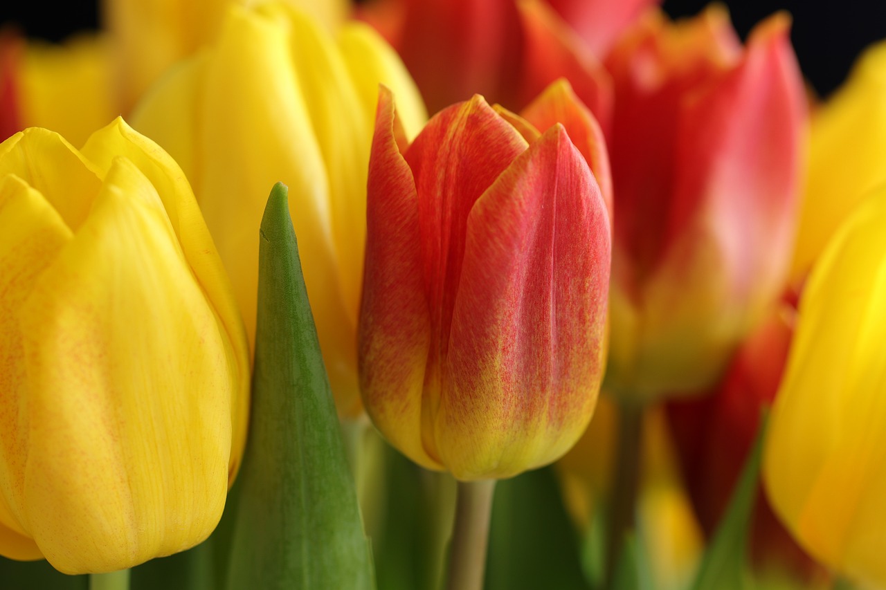 Donnerstag, 15. Mai