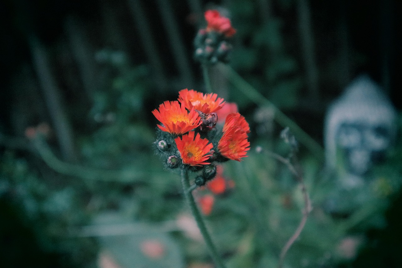 Samstag, 9. August