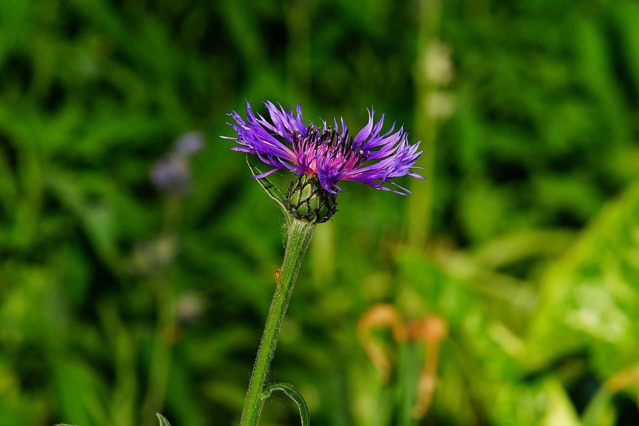 Montag, 25. August