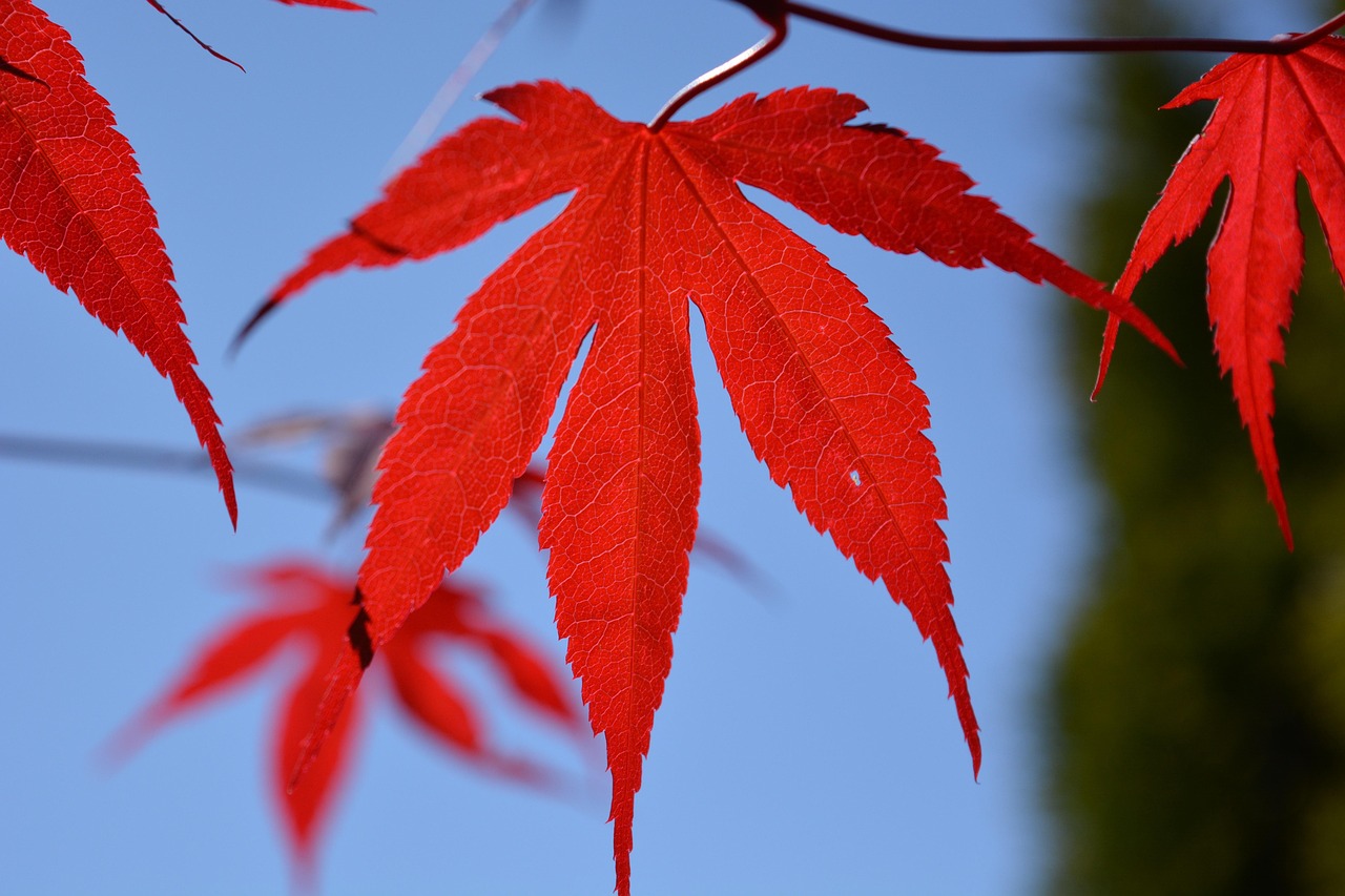 Donnerstag, 18. September