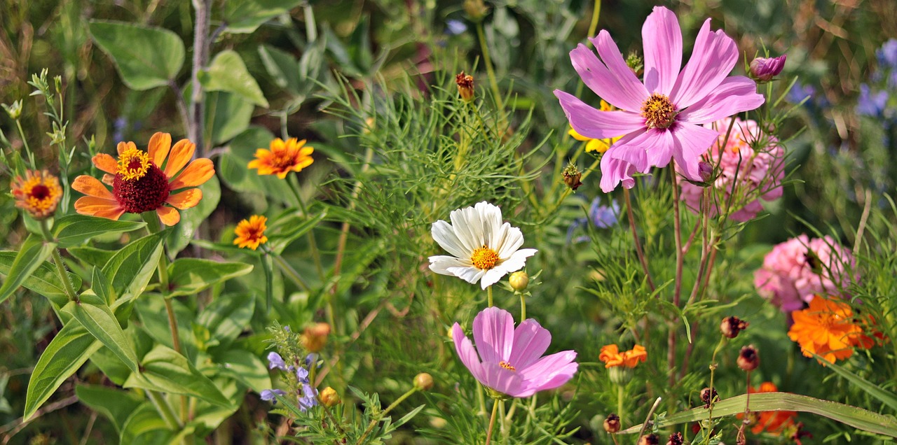 Sonntag, 7. September