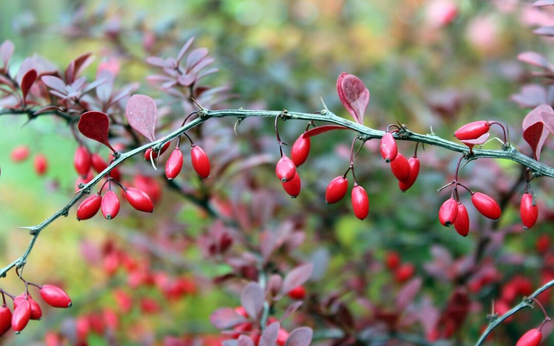 Poniedziałek, 27 października
