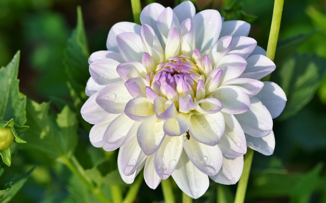 Sobota, 11 października