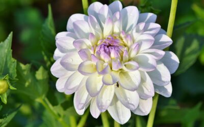 Sobota, 11 października