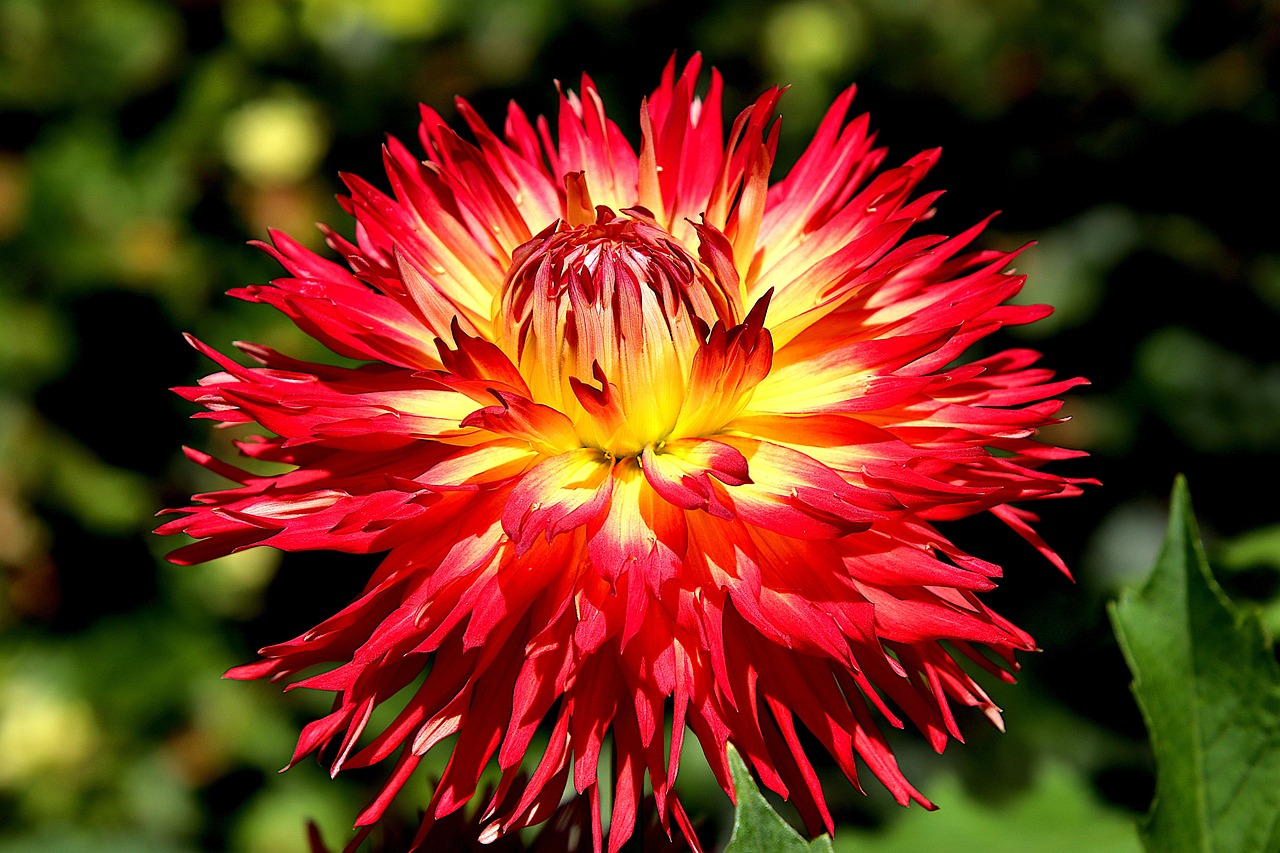Samstag, 22. November