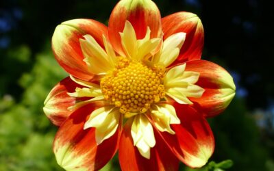 Piątek, 10 października