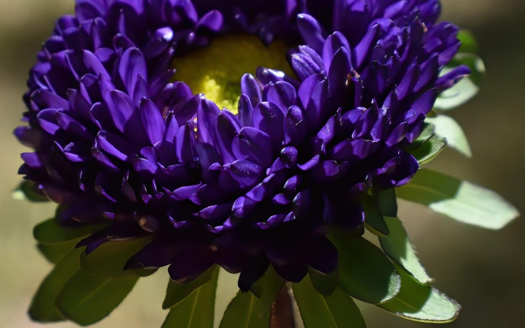 Czwartek, 30 października