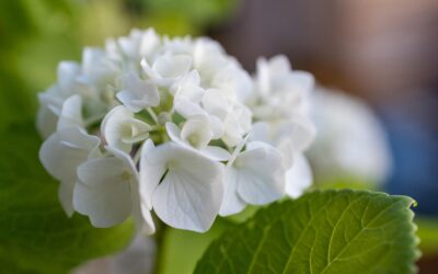 Piątek, 24 października