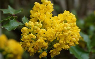 Piątek, 31 października