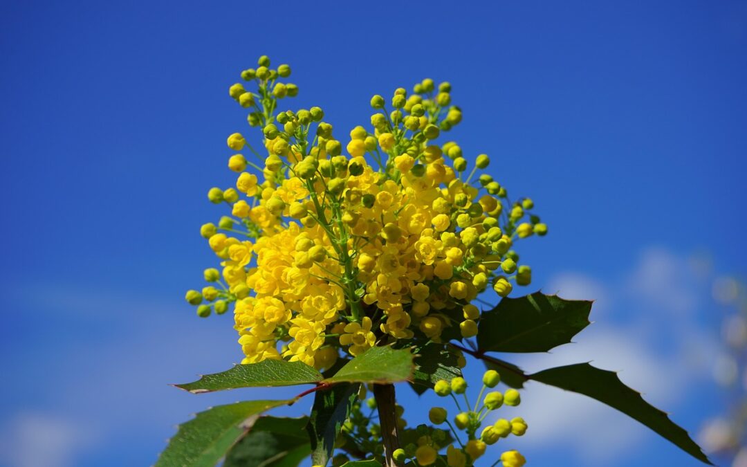 Sobota, 25 października