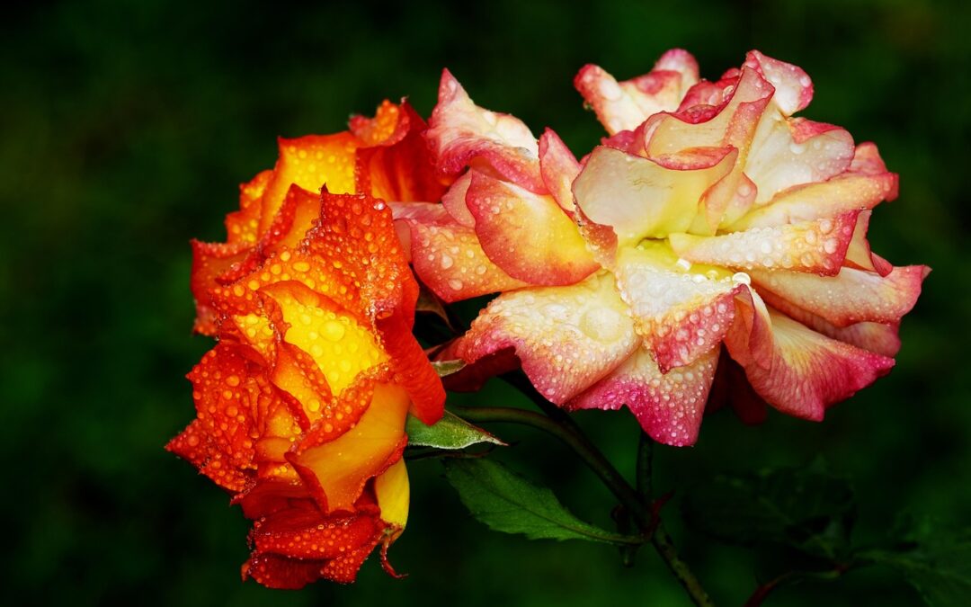 Wtorek, 28 października